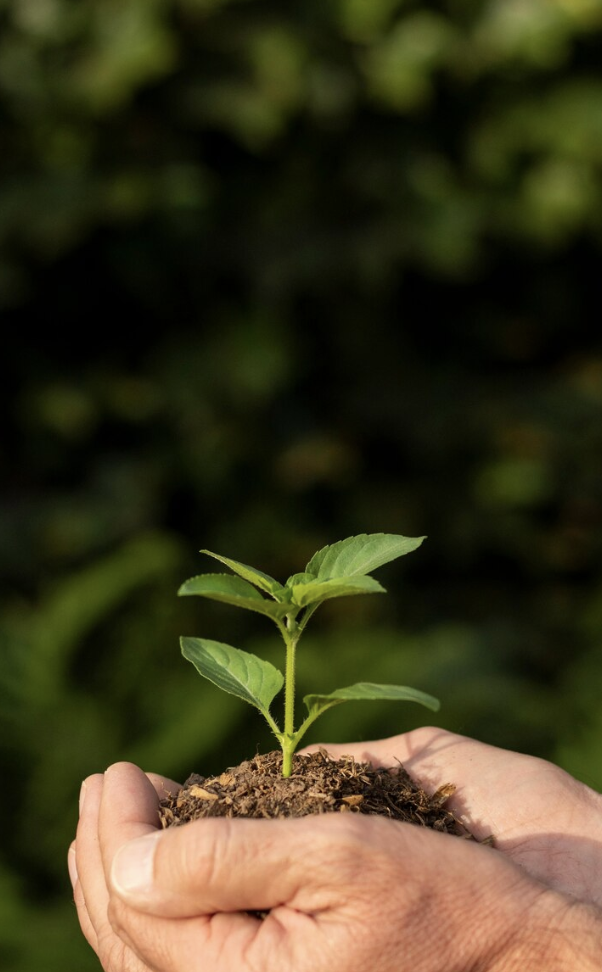 Agriculteur appliquant un amendement marin pour améliorer son rendement